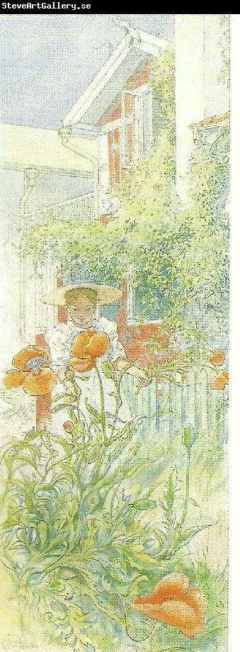 Carl Larsson vallma